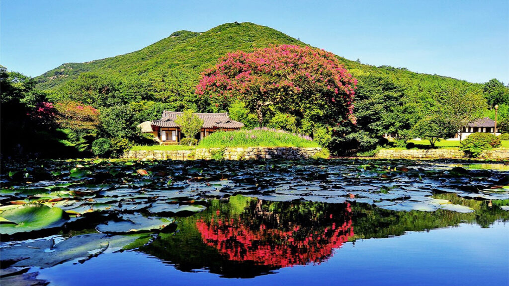 진도 여행 힐링 명소 운림산방