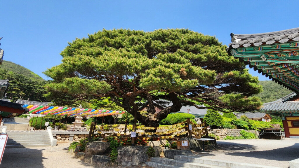 포항 힐링 여행 명소 보경사
