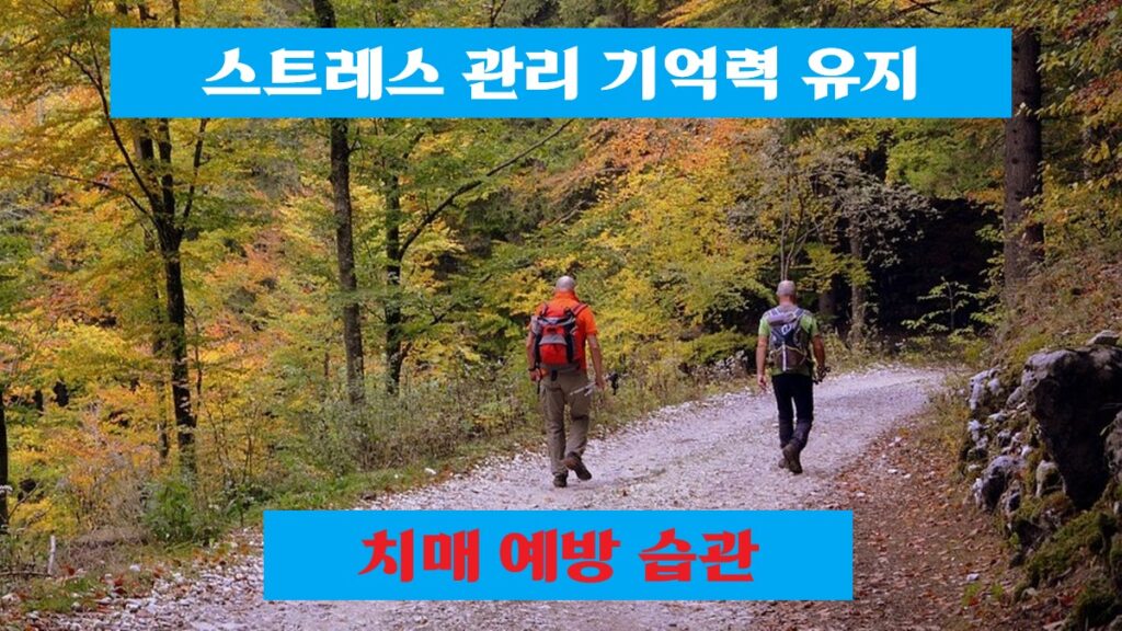 스트레스 관리 기억력 유지 실천으로 치매 예방하는 중장년 남성의 가을 숲길 걷기