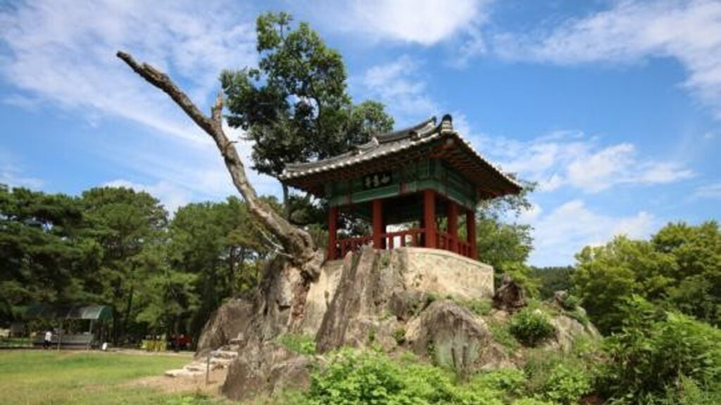 송호관광지 솔밭 위에 자리한 정자 여의정 전경