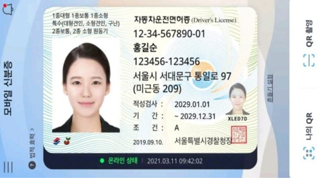 여성의 모바일 운전면허증 이미지, 스마트폰 화면에 표시된 디지털 운전 자격증