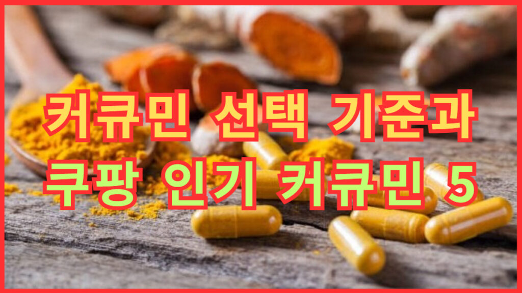 커큐민 선택 기준과 쿠팡 인기 커큐민 5 비교, 건강보조제 추천